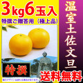 温室土佐文旦（ハウス栽培品）・特撰ご贈答用（極上品）・3kg・6玉入【送料無料】