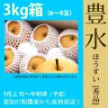 豊水（ほうすい）・秀品・3kg・6～9玉・厳選農家のもぎたて・産地直送