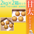 甘太（かんた）梨（なし）・秀品・2kg×2箱セット（合計8～12玉前後入）・厳選農家のもぎたて・産地直送