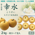 【木なり完熟・もぎたてクール便】幸水梨（こうすいなし）・秀品2kg・5～7玉入り