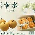 幸水梨（こうすいなし）・秀品・約2.8～3kg・6～9玉入り・徳久梨園・もぎたて・産地直送