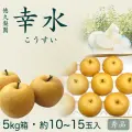 幸水（こうすい）梨・秀品5kg・10～15玉入り・徳久梨園・もぎたて・産地直送