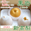 【産地直送】黒岩産の新高（にいたか）・秀品・約2.7～2.85kg・3玉入り【送料無料（関東～九州）】