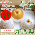 【産地直送】黒岩（くろいわ）産の新高梨（にいたかなし）・高知県佐川町黒岩梨出荷組合・梨農家厳選品・秀品・約2.85～3.00kg・3玉入り