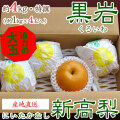 【産地直送】黒岩（くろいわ）産の新高（にいたか）・秀品・約4kg・4玉入り【送料無料（関東～九州）】