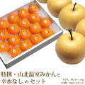 特撰・山北温室みかんと幸水（こうすい）梨・フルーツセット