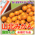 山北みかん・お値打ち品（セール特価）・5kg箱入り