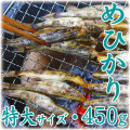 めひかり（目光）の干物・特大サイズ・450g