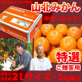 【産地直送】別役さんちの山北マルチ栽培みかん・中生（なかて）・秀品（特撰ご贈答用）・5kg箱入・特大２Ｌサイズ【送料無料（関東～九州）】
