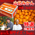 別役さんちの山北マルチ栽培みかん・中生（なかて）・秀品（特撰ご贈答用）・5kg箱入・こつぶ2Sサイズ