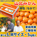 別役さんちの山北マルチ栽培みかん・中生（なかて）・秀品（家庭用兼ご贈答用）・5kg箱入・選べるS、Mサイズ