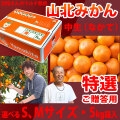 【産地直送】別役さんちの山北マルチ栽培みかん・中生（なかて）・秀品（特撰ご贈答用）・5kg箱入・選べるS、Mサイズ
