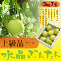 水晶文旦（高知県産）・上級品（家庭用兼ご贈答用）・3kg箱・7玉【送料無料（関東～九州）】