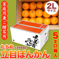 立目（たちめ）ぽんかん（高しょう系）ご家庭用兼ご贈答用・5kg箱・2Lサイズ