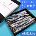 高知沖どれ「天日干し・一本釣りうるめいわし丸干し」・特撰上物・800g（化粧箱入り）【送料無料（関東～九州）】