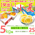 【早出し】土佐小夏・ハウス栽培品・上物（家庭用兼ご贈答用）・大箱（約５kg）・小粒２Sサイズ・温室育ちの高級小夏（こなつ）