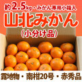 山北みかん・中生（なかて）・南柑20号・赤秀品・2.5kgみかん箱（小分け品）