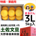 まるけん土佐文旦・ご家庭用・3Lサイズ・中箱（～5kg）・矢野春雄果樹園【送料無料】