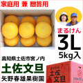 まるけん土佐文旦・家庭用兼ご贈答用・3Lサイズ・中箱（～5kg）・矢野春雄果樹園【送料無料】