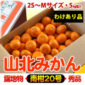山北みかん・露地もの・（特価わけあり品）・5kg箱