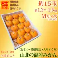 山北温室みかん（おきつ系・特撰限定えりすぐり・ご贈答ハウスみかん）約1.3～1.5kg（約15玉）・ハイクラス・Mサイズ
