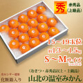 山北温室みかん（おきつ系品種・赤秀品・ご贈答ハウスみかん）約1.3～1.5kg（約15～19玉）・S～Mサイズ