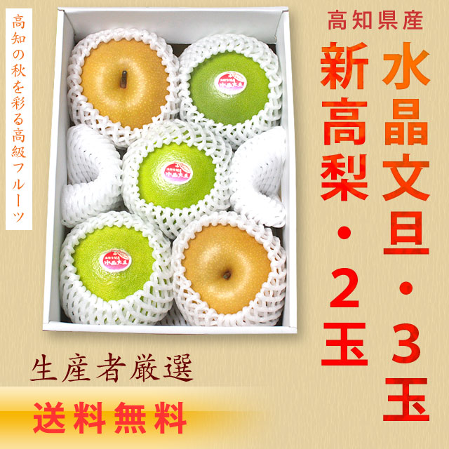 【送料無料】高知県産・新高梨２玉＋水晶文旦３玉・詰め合わせセット