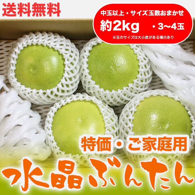 水晶文旦（高知県産）・特価ご家庭用・約2kg・（中玉以上・3～4玉）【送料無料】