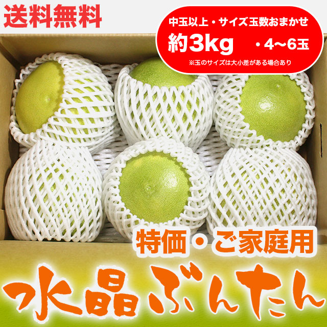 水晶文旦（高知県産）・特価ご家庭用・約3kg・（中玉以上・4～6玉）【送料無料】