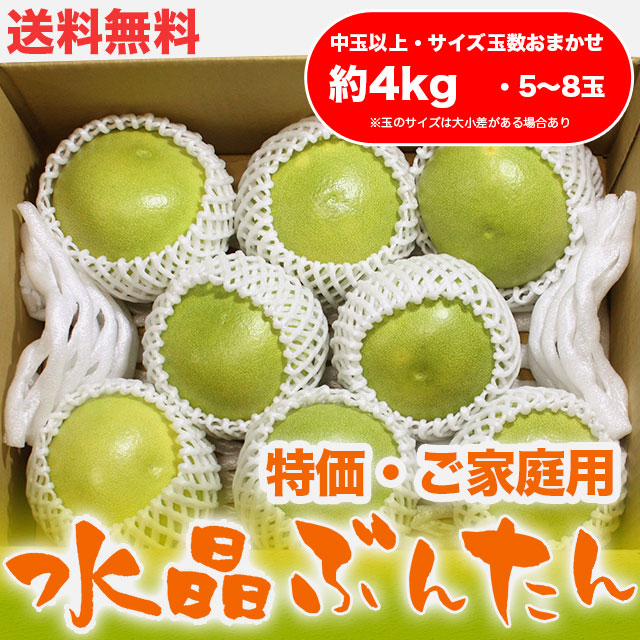 水晶文旦（高知県産）・特価 ご家庭用・約4kg・（中玉以上・5～8玉）【送料無料】