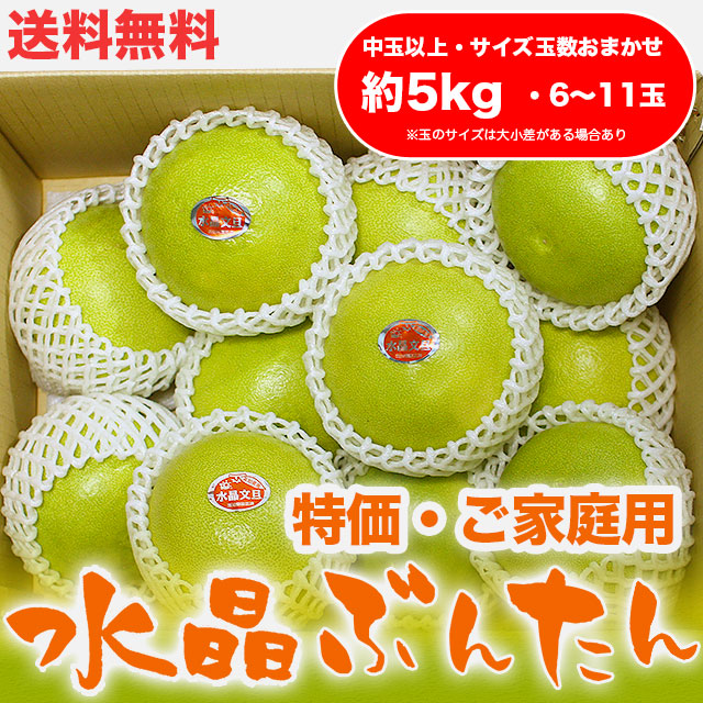 水晶文旦（高知県産）・特価ご家庭用・約5kg・（中玉以上・6～11玉）【送料無料】