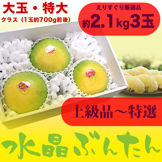 生産者厳選・水晶文旦（高知県産）・上物～特選ご贈答用・特大サイズ 3玉入（約2.1kg箱）
