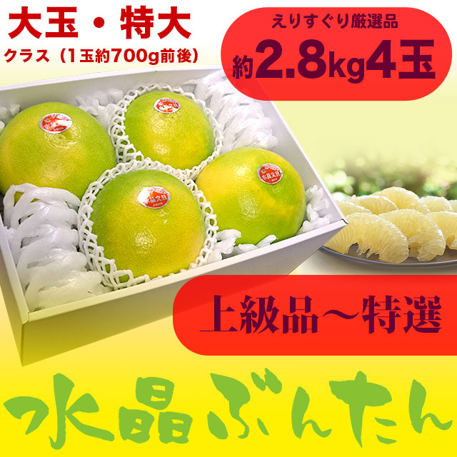 水晶文旦（高知県産）・上物～特選ご贈答用・特大サイズ 4玉入（約2.8kg箱）【送料無料（関東～九州）】