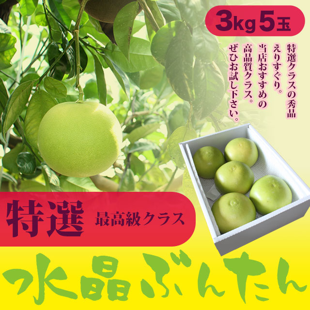 生産者厳選・水晶文旦（高知県産）・秀品（ご贈答用）・ハウス（温室栽培）特上品・3kg箱・5玉入り【送料無料（関東～九州）】