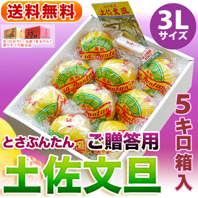 「味重視」高知県産・土佐文旦・ご贈答用・約5kg・3Lサイズ・丸研または光の良品生産者限定（ムッキーちゃん×1個付）