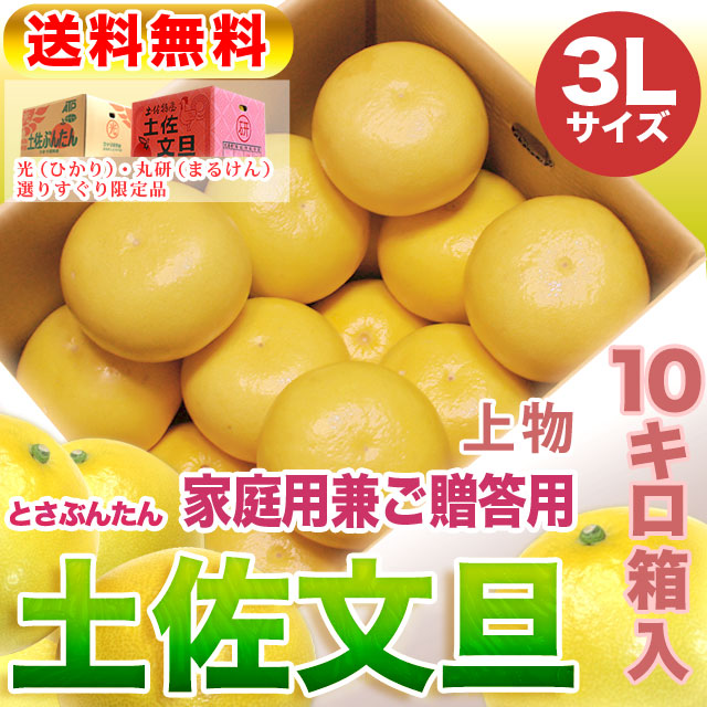 高知県産・土佐文旦・まるけん（丸研）または光（ひかり）ブランドの良品限定・家庭用兼ご贈答用（上物）・大箱（～10kg）・3Lサイズ【送料無料（関東～九州）】