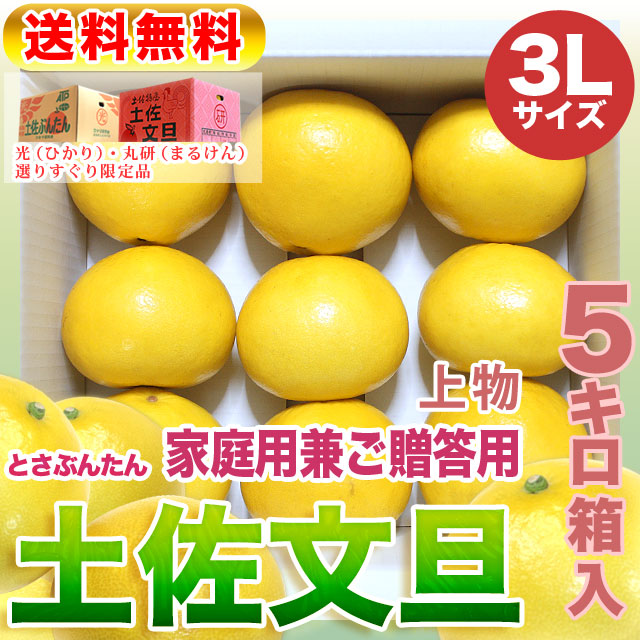 高知県産・土佐文旦・まるけん（丸研）または光（ひかり）ブランドの良品限定・家庭用兼ご贈答用（上物）・中箱（～5kg）・3Lサイズ【送料無料】