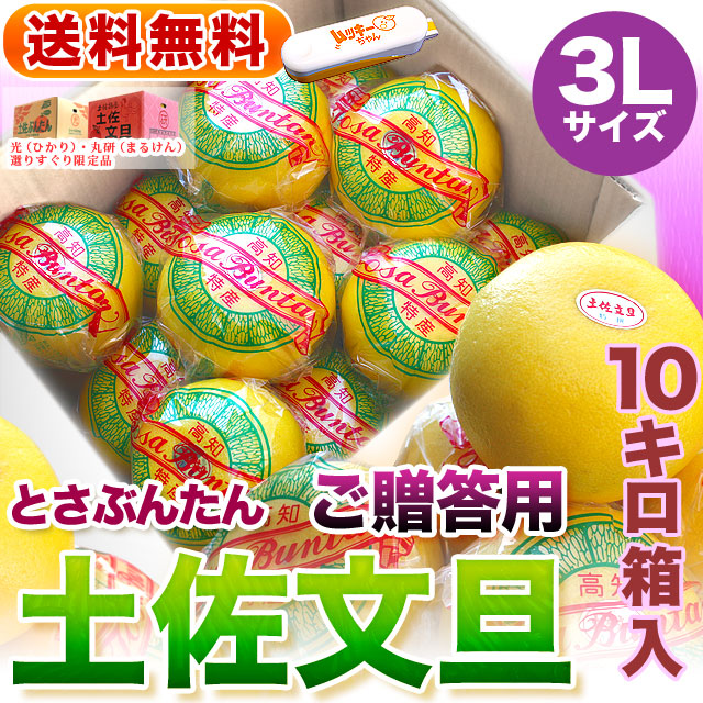 高知県産・土佐文旦・まるけん（丸研）または光（ひかり）ブランドの良品限定・特撰・ご贈答用・大箱（～10kg）・3Lサイズ【送料無料（関東～九州）】