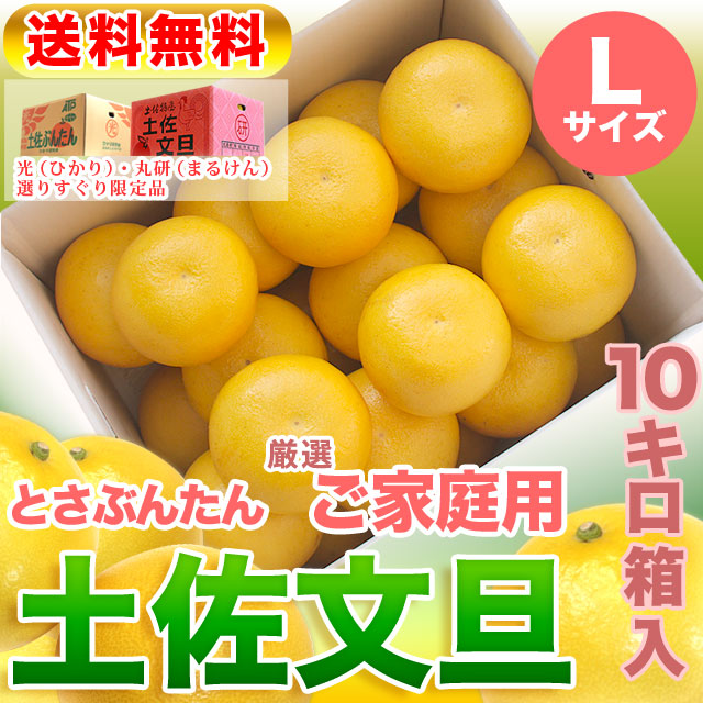 高知県産・土佐文旦・まるけん（丸研）または光（ひかり）ブランドの良品限定・厳選ご家庭用・大箱（～10kg）・Lサイズ【送料無料（関東～九州）】