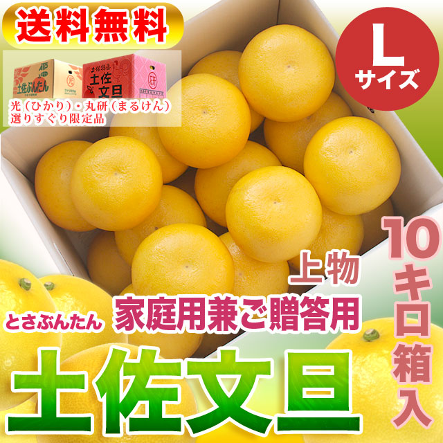 高知県産・土佐文旦・まるけん（丸研）または光（ひかり）ブランドの良品限定・家庭用兼ご贈答用（上物）・大箱（～10kg）・Lサイズ【送料無料】