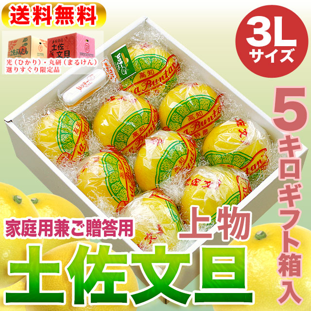 高知県産・土佐文旦・まるけん（丸研）または光（ひかり）ブランドの良品限定・特撰・ご贈答用・約5kg・3Lサイズ【送料無料】