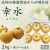幸水（こうすい）梨・2kg