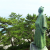 高知市桂浜の坂本龍馬像