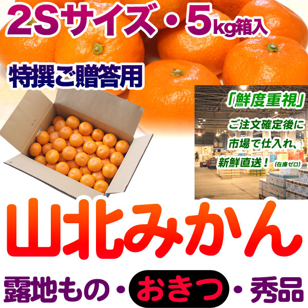 生産者厳選・山北みかん・露地もの・興津（おきつ）・秀品（特撰ご贈答用）・5kg箱・2Sサイズ【送料無料（関東～九州）】