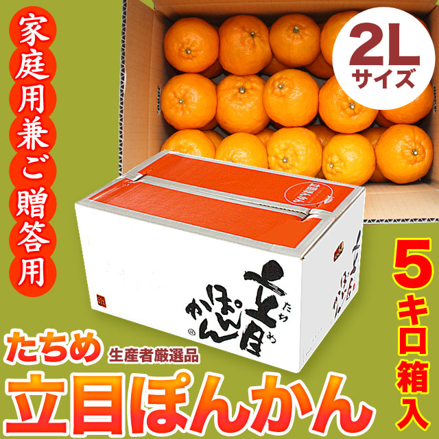 立目（たちめ）ぽんかん（高しょう系）ご家庭用兼ご贈答用・5kg箱・2Lサイズ