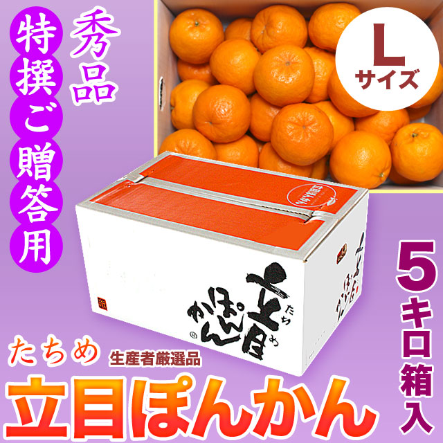 立目（たちめ）ぽんかん（高しょう系・岡山系）秀品・特撰ご贈答用・5kg箱・Lサイズ【送料無料（関東～九州）】