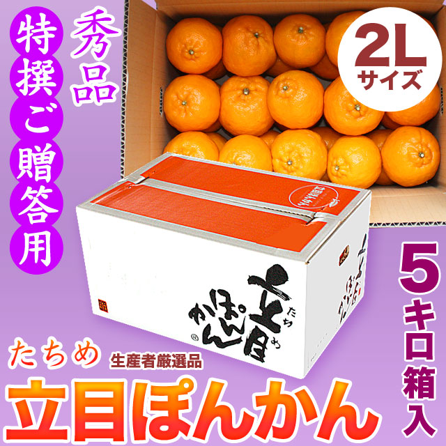 立目（たちめ）ぽんかん（高しょう系・岡山系）秀品・特撰ご贈答用・5kg箱・2Lサイズ【送料無料（関東～九州）】