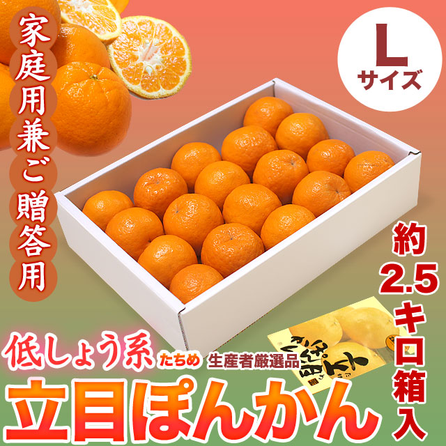 【送料無料】立目（たちめ）ぽんかん（低しょう系）ご家庭用兼ご贈答用・約2.5kg箱入り・Lサイズ