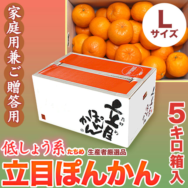 立目（たちめ）ぽんかん（低しょう系）ご家庭用兼ご贈答用・5kg箱・Lサイズ【送料無料（関東～九州）】