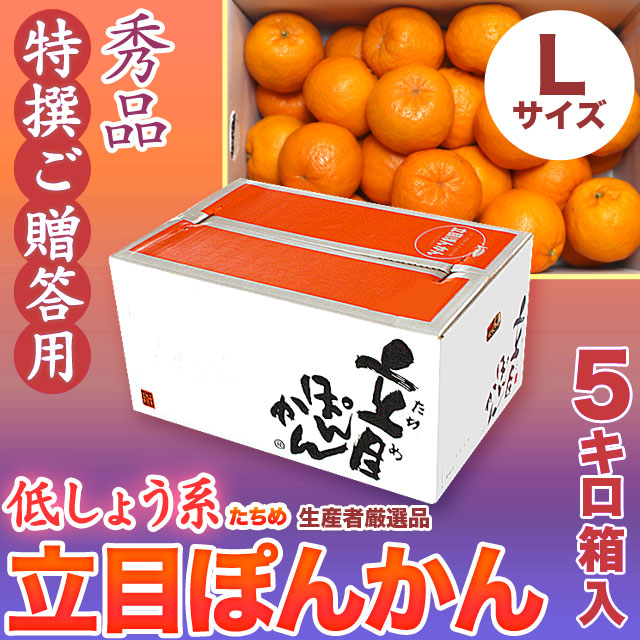 立目（たちめ）ぽんかん（低しょう系）秀品・特撰ご贈答用・5kg箱・Lサイズ【送料無料（関東～九州）】